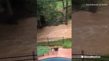 Flooding created a creek in the backyard