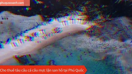 Cho Thuê Tàu Đi Đảo Tại Phú Quốc