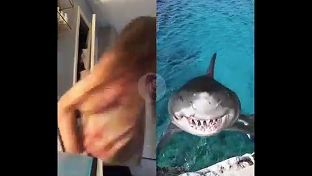 top 10 tik tok musically videos compilation