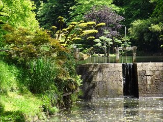 Le parc de Maulévrier (49)