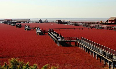 بحيرة عمرها 500 مليون عام يتحوّل لونها سنوياً إلى الأحمر!