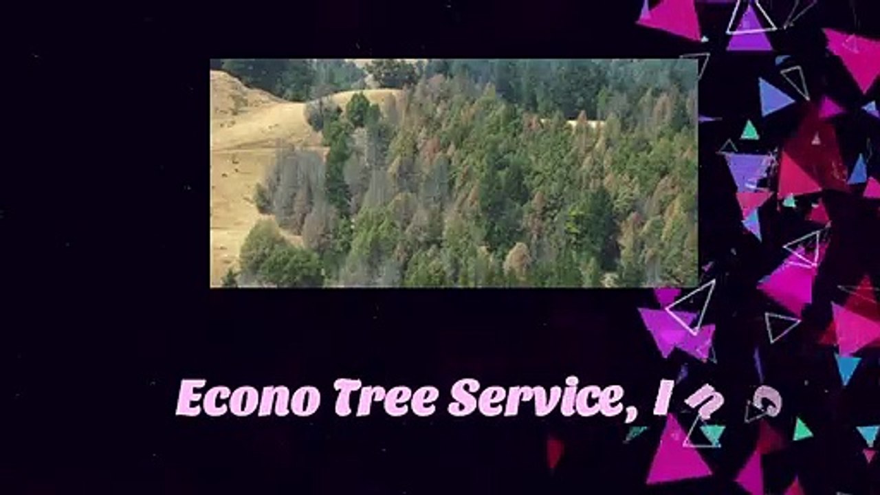 tree service palo alto ca