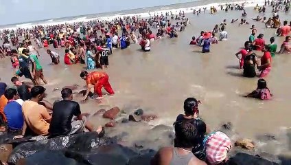 People swim along the sea shores of Mumbuai