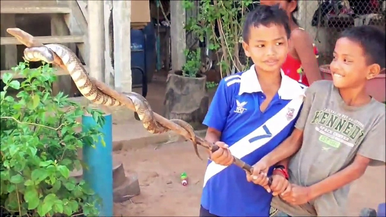 Anaconda Soup