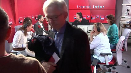 Marguerite, une vache laitière au Qatar - Le Billet de Charline