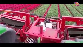ألات ومعدات الزراعة الحديثة - جنون التكنولوجيا _
