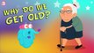 Why Do We Get Old? The Dr. Binocs Show | Best Learning Videos For Kids | Peekaboo Kidz