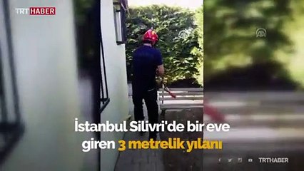 Eve giren 3 metrelik yılanı itfaiye çıkardı