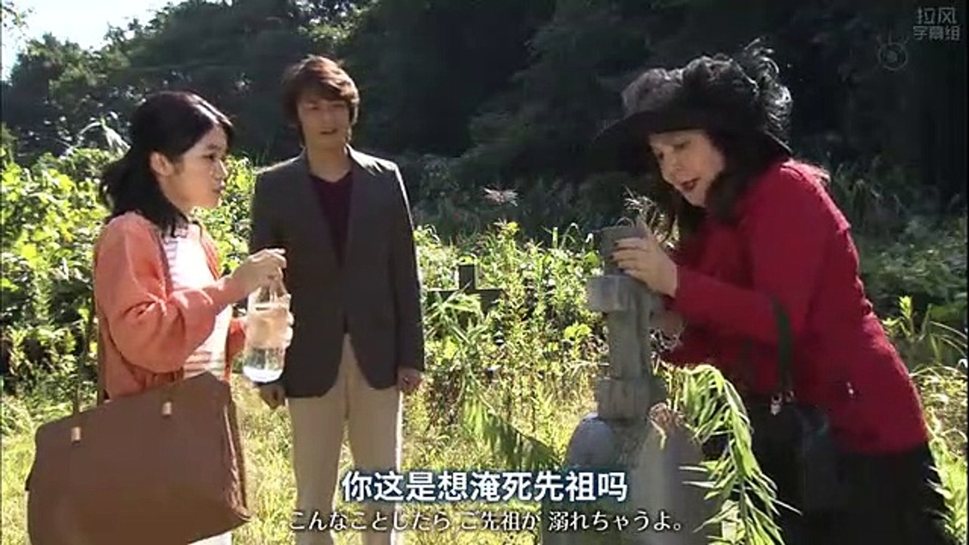 新牡丹與薔薇 牡丹與玫瑰06 影片dailymotion