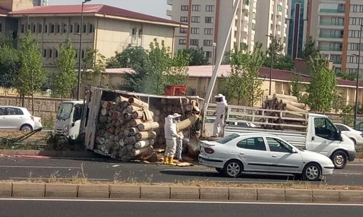 Arı kovanı yüklü kamyonet devrildi, çevredekiler zor anlar yaşadı