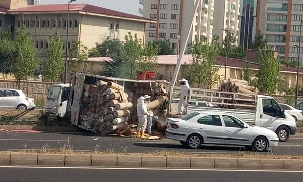 Arı kovanı yüklü kamyonet devrildi, çevredekiler zor anlar yaşadı