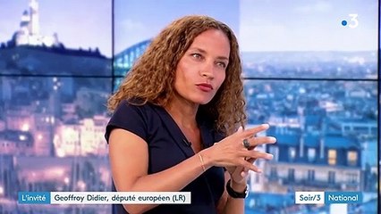 Geoffroy Didier appelle LR "à s'ouvrir et à vivre avec son temps"