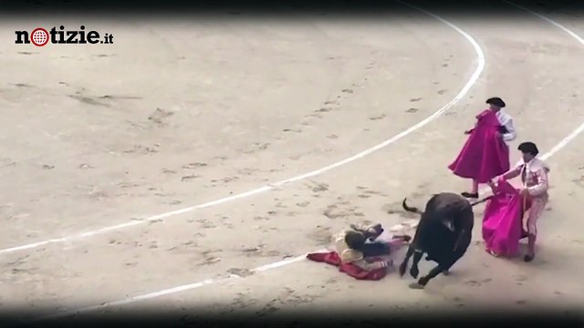 Madrid, ferito gravemente il torero Roman Collado | Notizie.it