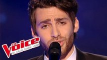 Christophe – Les Mots bleus | Lukas K. Abdul | The Voice France 2016 | Blind Audition