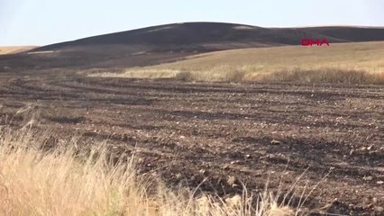 Batman'da yıldırım düştü; 600 dönümde ekili buğday yandı