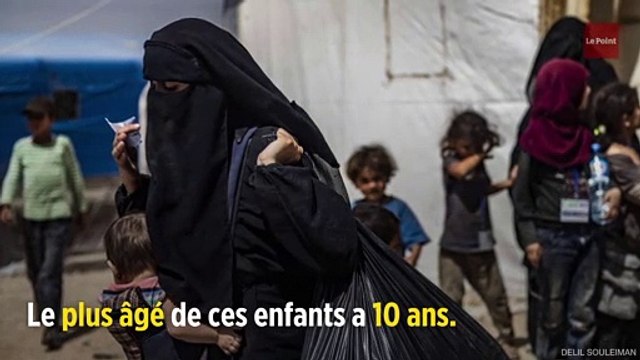 Syrie : 12 orphelins de familles djihadistes de retour en France