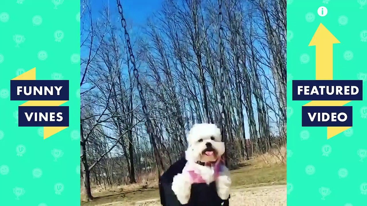 TRY NOT TO LAUGH - Cute Funny Animals | Funny Videos March 2019