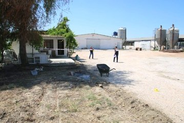 Hindi çiftliğinde korkunç olay! 16 yaşındaki kız çocuğu da gözaltında
