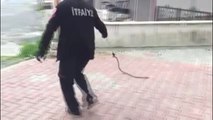Elektrik trafosuna giren yılanı itfaiye çıkardı