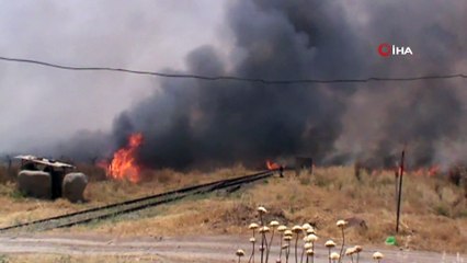 Sınır hattındaki kurumuş otlar alev alev böyle yandı