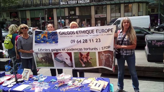 marche-abattoirs-L214-paris-republique-8juin2019-galgosethiqueeurope