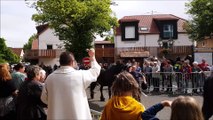 Jour de bénédiction pour les chevaux, ânes et poneys