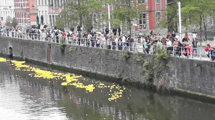 Tournai course de canards sur escaut 4 10.06.2019