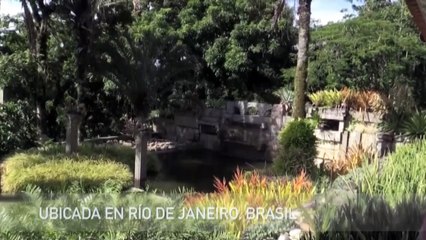 Carlos Erik Malpica Flores te enseña la casa de Brasil, Patrimonio Cultural de la Humanidad