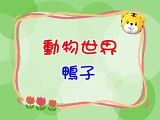 巧虎2005年11月號寶寶版-Qiaohu-2005/11/Baby version