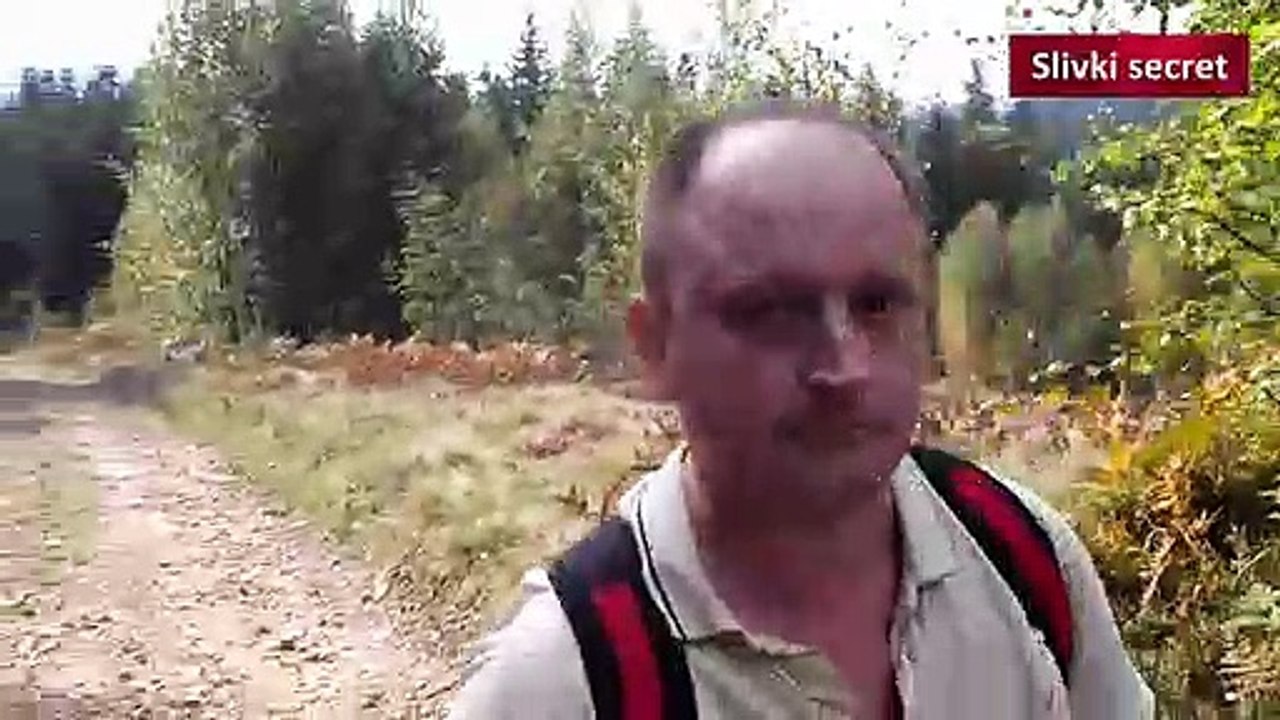 Отдых в Карпатах село Микуличин - Поход в Карпаты дешевый и недорогой | Rest in the Carpathians Mykulychyn village - A trip to the Carpathians is cheap and inexpensive