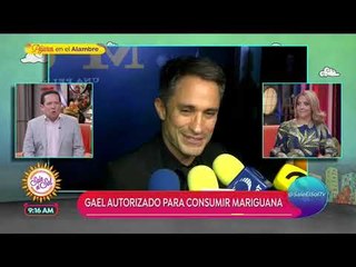 ¡Gael García Bernal obtuvo un amparo para poder consumir marihuana! | Sale el Sol