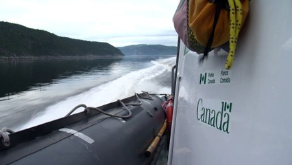 Parc marin : Exemption d'excursions aux baleines