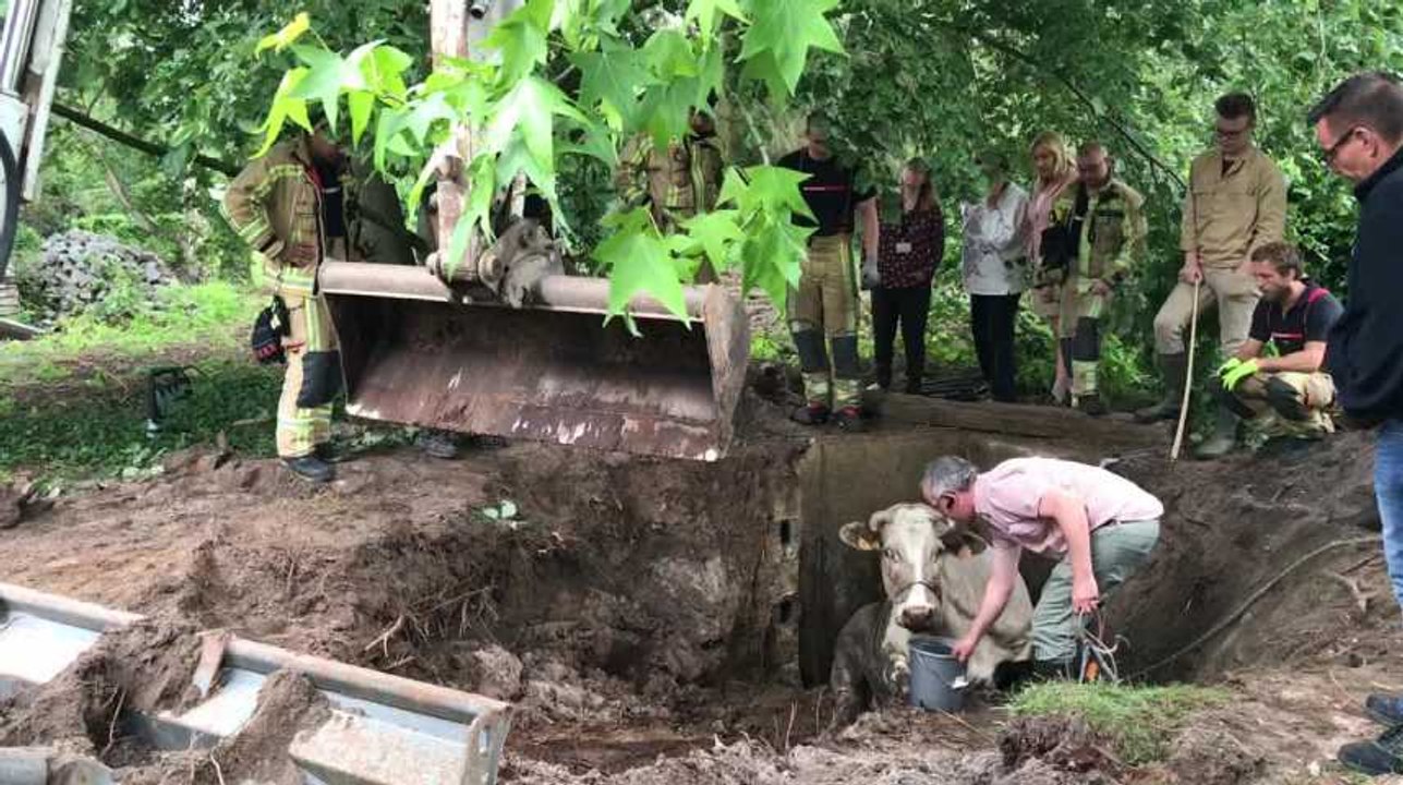 Jurbise : intervention insolite des pompiers de Mons