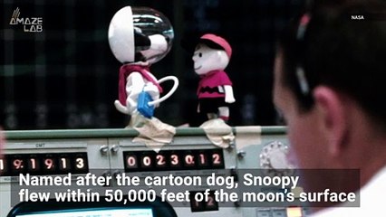 NASA's ‘Snoopy’ Lunar Module From Apollo 10 May Have Been Found