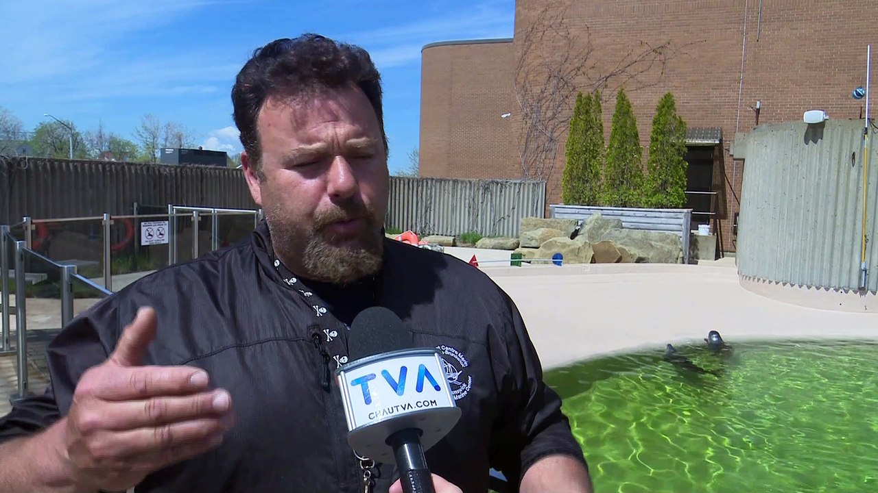 Nouveau bassin à l’Aquarium du Nouveau-Brunswick