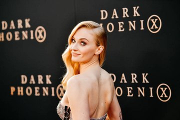 'Dark Phoenix' and 'Pets 2' Both Underperform During Disappointing Box Office Weekend