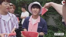 [SPOT KIDS]_Human watermelon Changbin’s watermelon punishment! (a.k.a making fun of Bin)