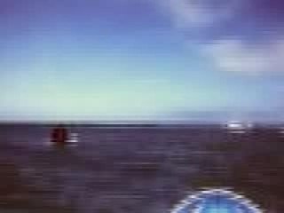 Surf Art : Bruno Turpin *** Surf and Painting