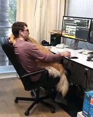 Cette chienne a trouvé la meilleure place pour dormir. Trop cute !