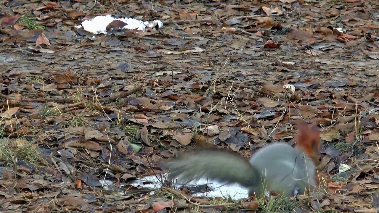 의형제새주소 의형제도메인 의형제가입코드 LD-88.COM 드라마 코드 6969 추천인 MTX 코드 주소 도메인 사이트 추천 놀이터 안전 실시간 파워볼 유출 픽 메이저 먹튀 사설 검증 인증 조작 바카라 룰렛 식보 카지노 온라인 라이브 인터넷 팁 규칙 토토