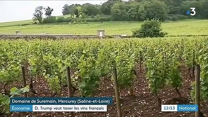 Donald Trump menace de taxer les vins français, les viticulteurs s'inquiètent
