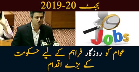 Budget 2019-20: Govt makes major step for generating employment for nationals