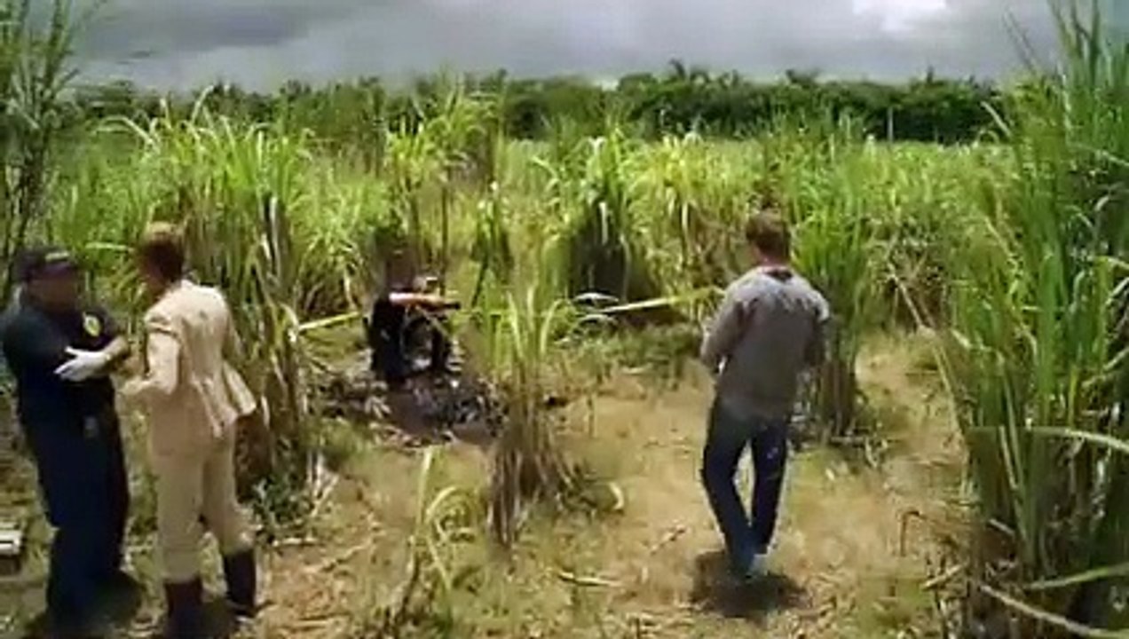 The Glades S1E04