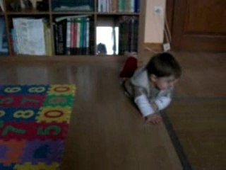 Mes premiers pas à quatre pattes