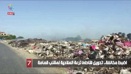 اضبط مخالفة.. تحويل شاطئ ترعة الملاحية لمقلب قمامة