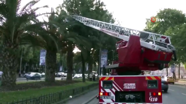 Ağaçta mahsur kalan yavru kedinin imdadına İBB itfaiye ekipleri yetişti