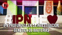 IPN profundiza en la investigación genética de bacterias