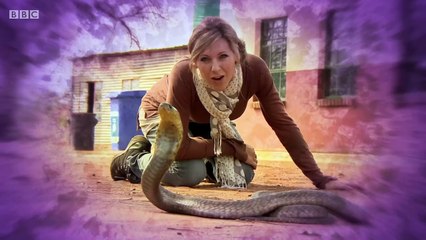 Naomis_Nightmares_of_Nature-s01e01-Yellowstone