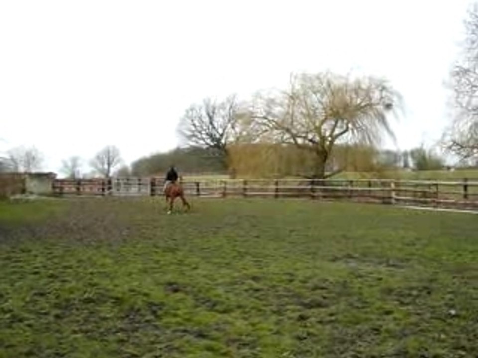 Ghita 023