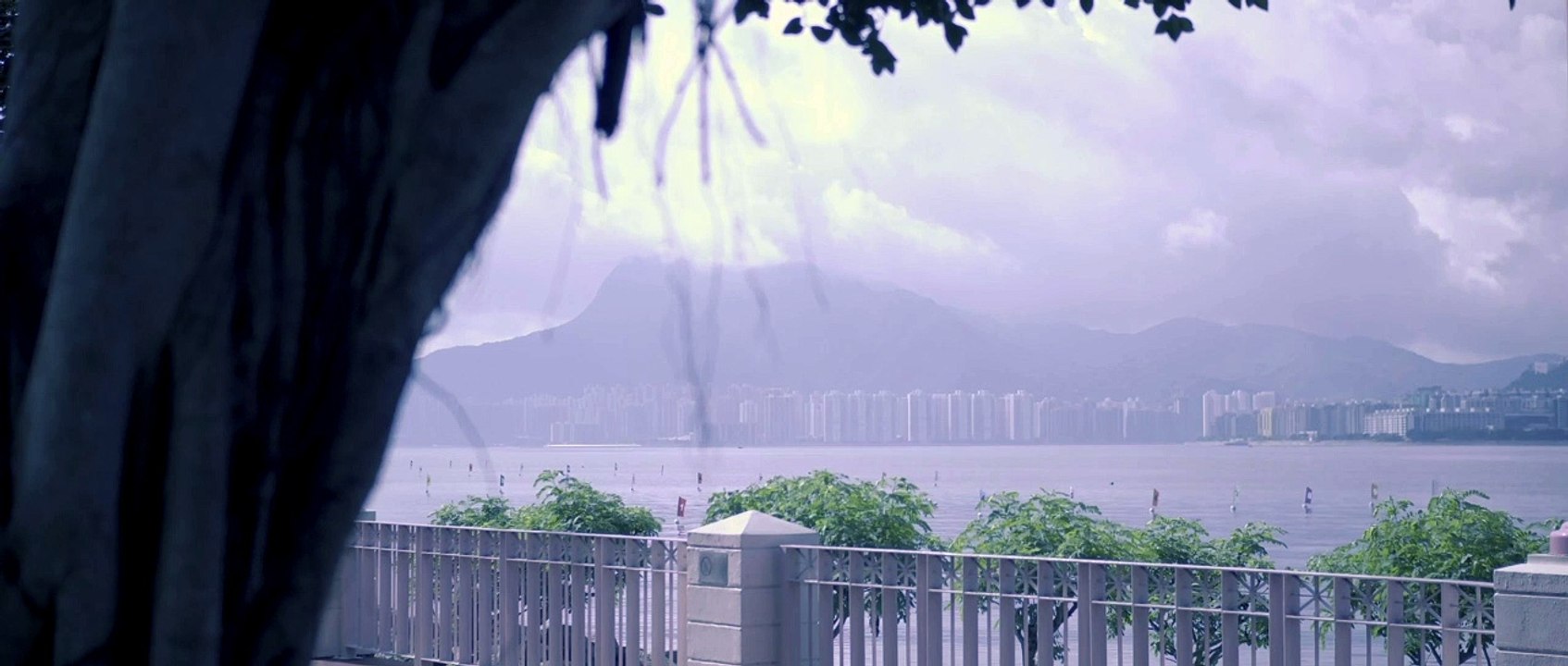 Tai Po Dreaming